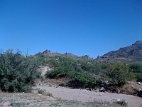 Pictures from iPhone 029